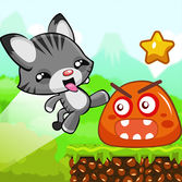 Baby Cat Adventure
