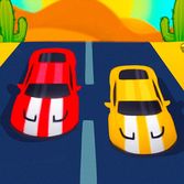 Driving Car