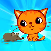 Swift Cats