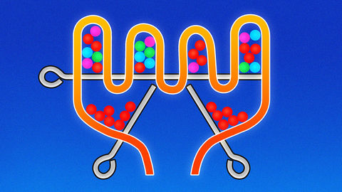 play pull the pin online free