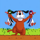 Duck Hunter